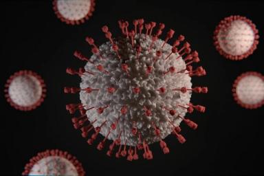 Раскрыт механизм заражения коронавирусом