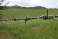 К чему могут привести закрытые границы Беларуси