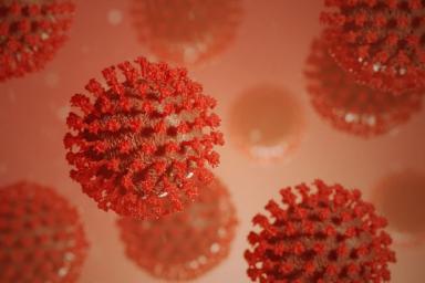 В России за сутки выявили более пяти тысяч заразившихся коронавирусом