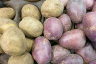 Фермеры назвали продукт, который сильнее всего подорожает осенью