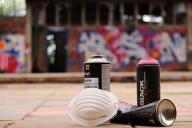 В Литве памятник советским воинам облили краской