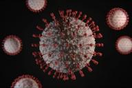 Найдено полностью нейтрализующее коронавирус средство
