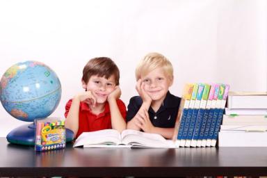 Более 100 школ в России перевели учеников на домашнее обучение