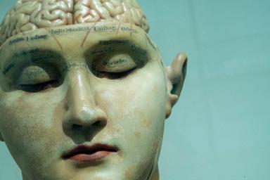 Британский ученый выдвинул новую теорию появления человеческого сознания