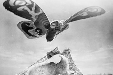 В Чернобыле обнаружили бабочку размером с птицу