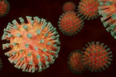 Вирусолог заявил об изменяющейся структуре коронавируса