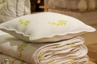 Жена мэра Томска выбросила из окна 1,3 млрд российских рублей