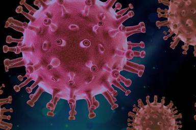 В России впервые выявили более 20 000 случаев коронавируса за сутки