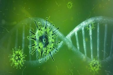  ВОЗ будет изучать мутацию коронавируса в Великобритании