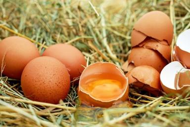 Как помогает в хозяйстве яичная скорлупа: 7 нестандартных способов применения