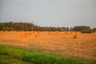 Россия обвалила мировые цены на пшеницу