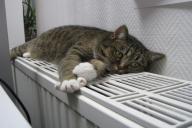 В Челябинской области более 7 тыс. человек остались без тепла из-за аварии