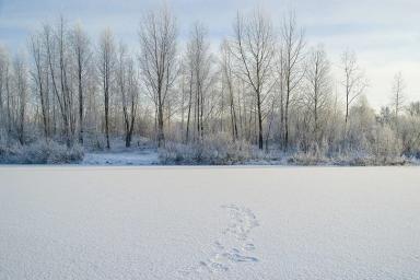 В Сибири ожидается экстремальное похолодание
