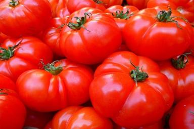 Россия разрешает ввоз томатов с одного азербайджанского предприятия