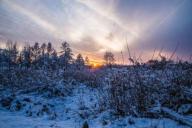 Россиянам рассказали о погоде на Новый год