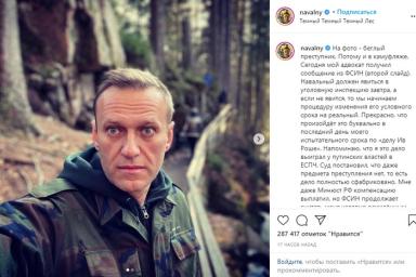Навальный был задержан в Шереметьево