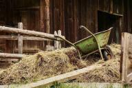 В Белгородской области на сеновале обнаружили тело младенца