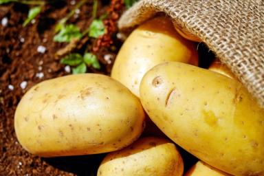 Как приготовить картофель, чтобы он был вкусным и сохранил полезные вещества    