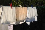 Как вывести пятна от растительного и машинного масла