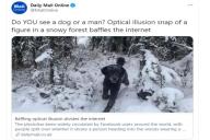 Фото, иллюзия