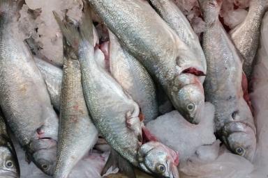 Самая дешевая рыба в России станет дороже