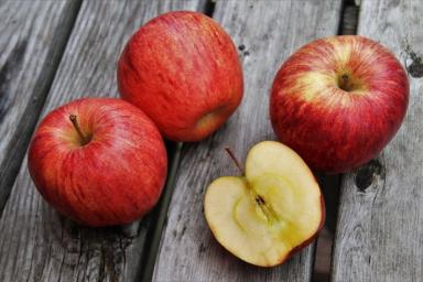 Могут ли быть одинаково полезными все яблоки