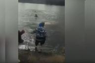 Кадр из видео