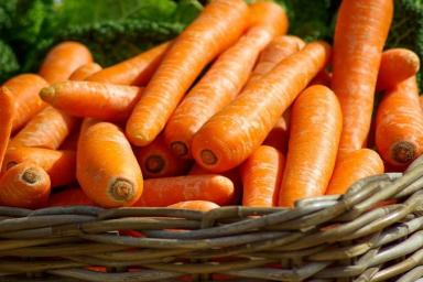Морковная диета: хорошо или плохо