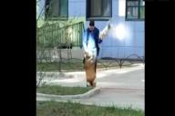 Кадр из видео