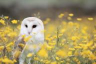 Весна, природа