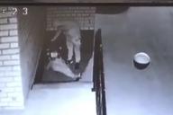 Неадекватный мужчина зверски избил прохожую в Смоленске