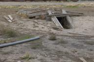 Тела двух вьетнамок нашли в землянке в Подмосковье