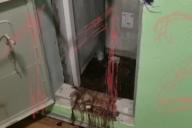 Раскрыто убийство найденной в пожарном шкафу полуобнаженной россиянки с тату