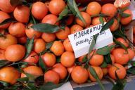 Что будет с организмом, если начать есть по одному апельсину каждый день