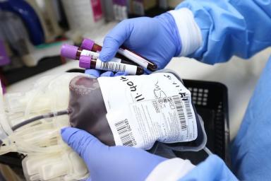 России предрекли дефицит донорской крови