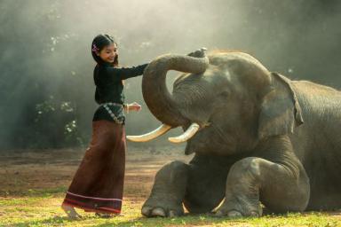 Девушка, слон