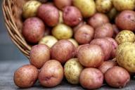Доходы россиян уменьшились на полтонны картошки