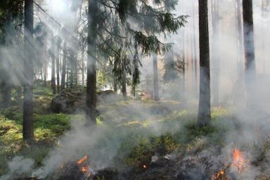 Дым от пожаров в Якутии дошел до Урала