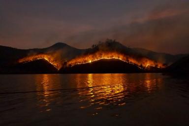 В Израиле вспыхнули неконтролируемые лесные пожары