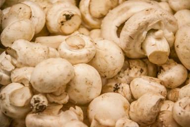 Секреты приготовления грибов: хитрости, о которых знают опытные хозяйки