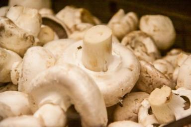 Как хранить и готовить грибы, чтобы они приобрели приятный вкус