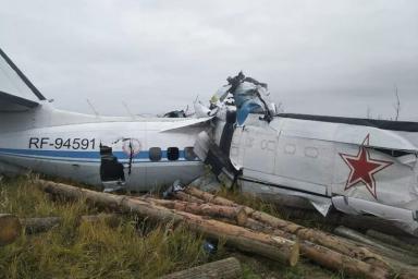 Власти Татарстана предположили, что птица стала причиной крушения самолета