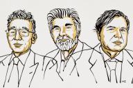 Лауреатом Нобелевской премии