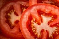 Как приготовить вкусные малосольные помидоры за полчаса: 3 лучших рецепта