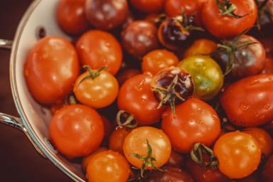Желтая половина плода у томатов: болезнь или что это