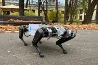 Робот-собака