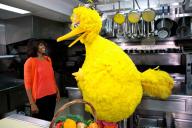 Большая Птица