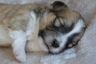 Как быстро заснуть за 1 минуту с помощью техники 4-7-8