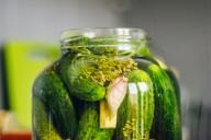 Почему может мутнеть рассол в огурцах: основные причины, методы борьбы