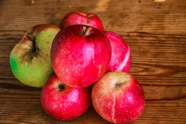 Почему нужно употреблять яблоки: 7 неожиданных причин